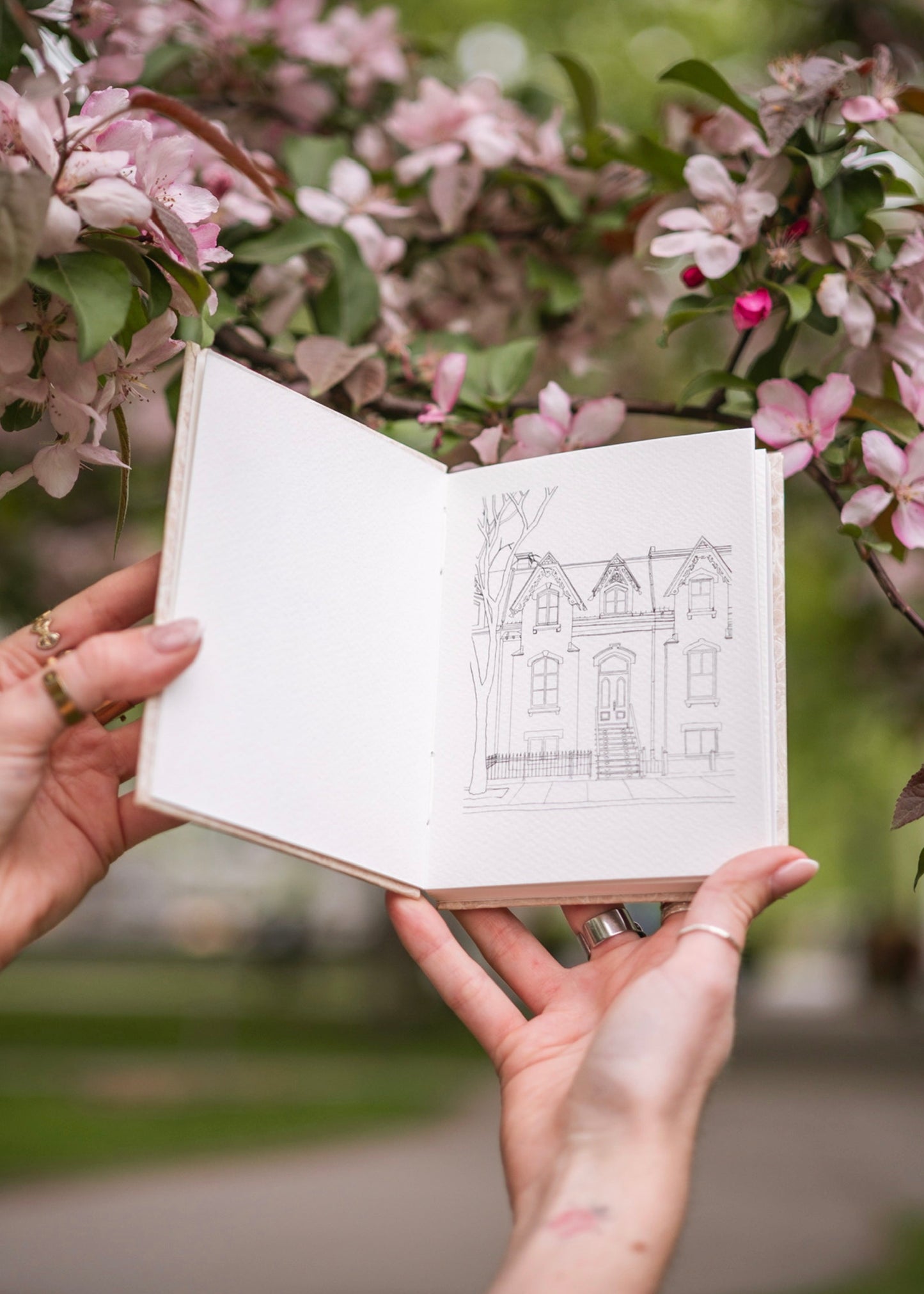 Carnet illustré - marbrure artisanale