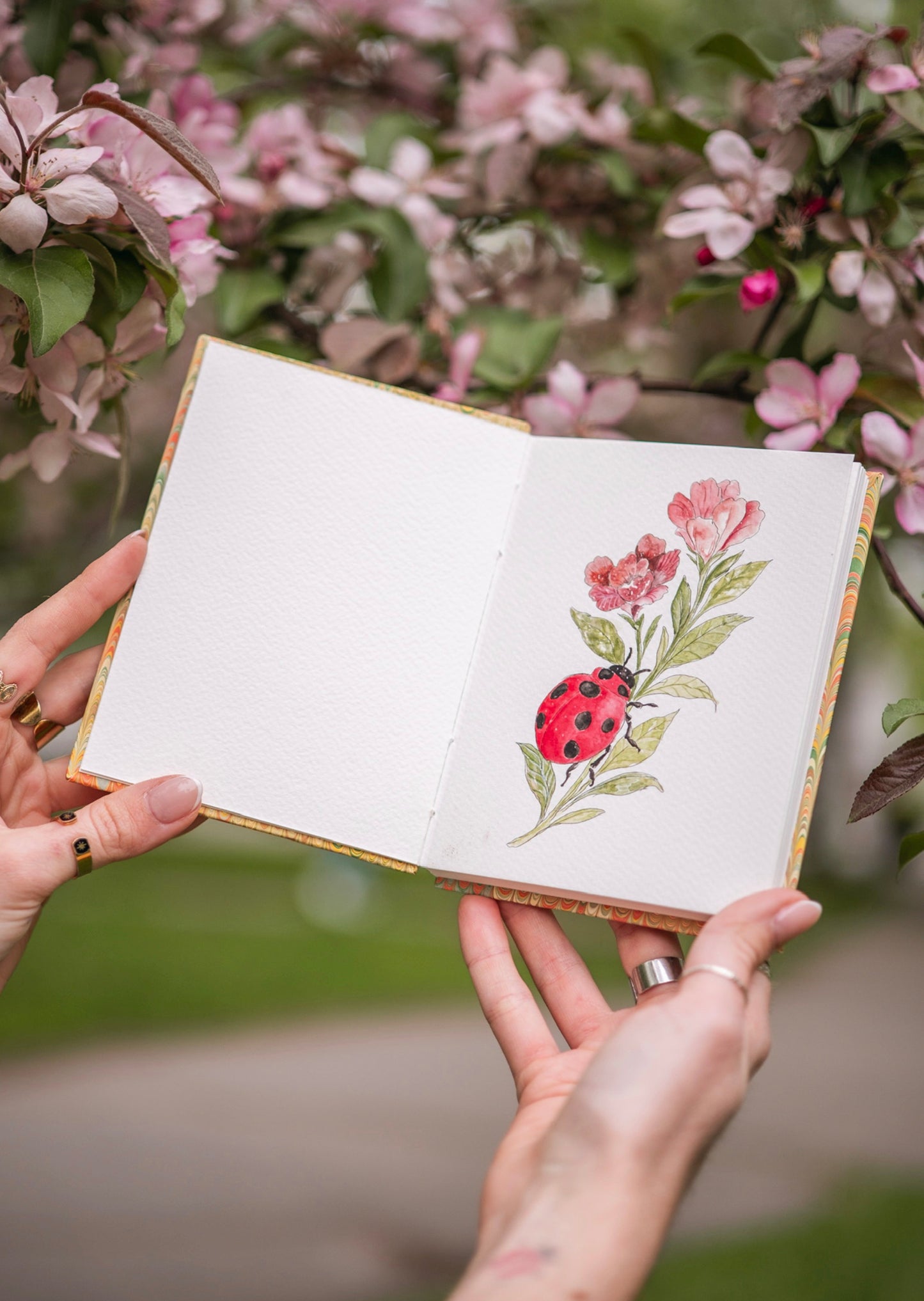 Carnet illustré - marbrure artisanale
