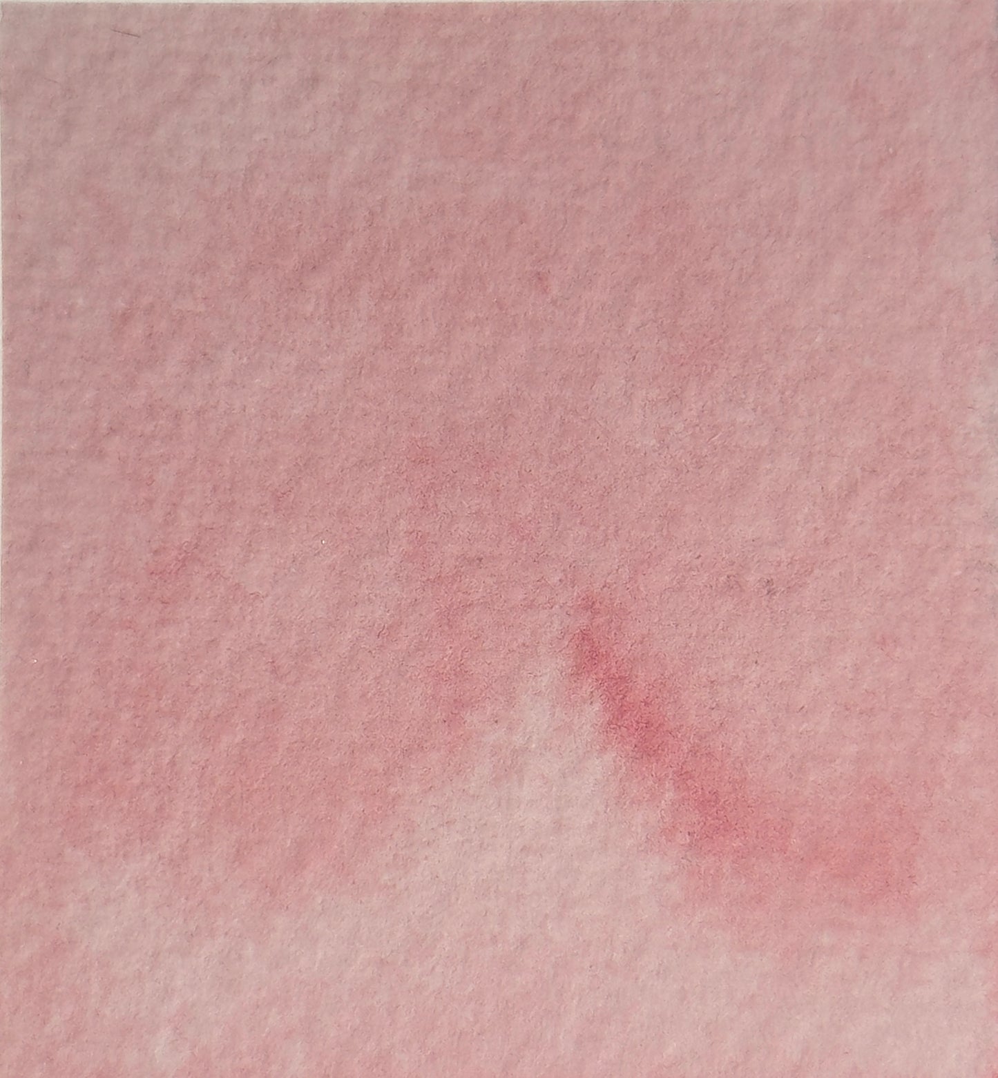 Aquarelle artisanale - Rose Pivoine