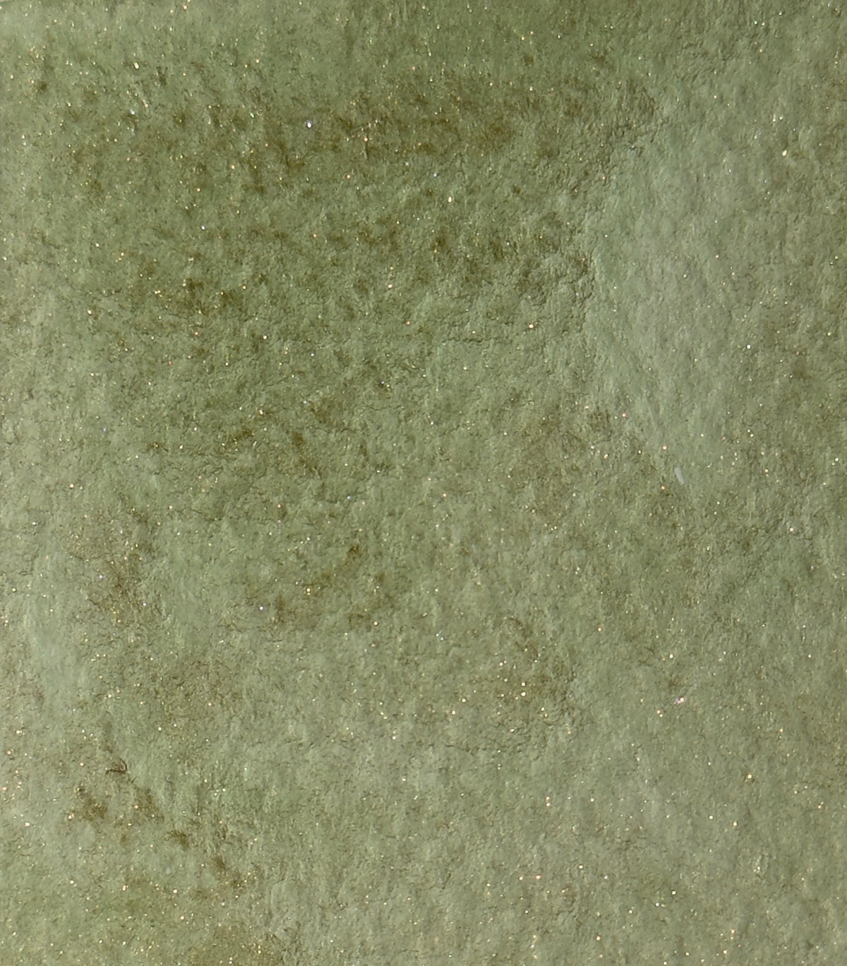 Aquarelle artisanale - Scarabée (mica)
