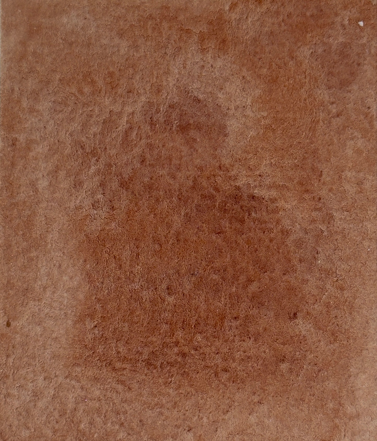 Aquarelle artisanale - Terre de Sienne Brûlée