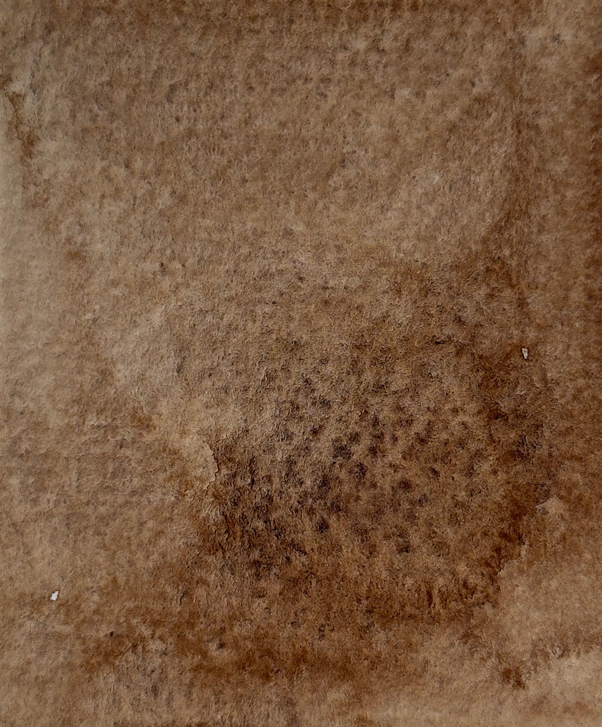 Aquarelle artisanale - Terre d’Ombre Brûlée