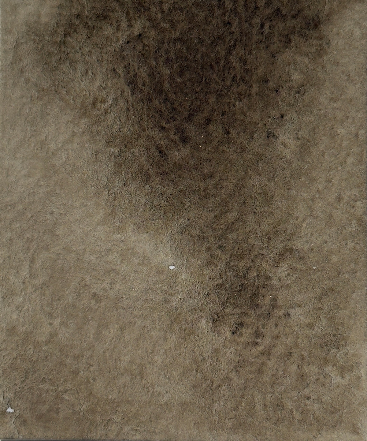 Aquarelle artisanale - Terre d'ombre verte