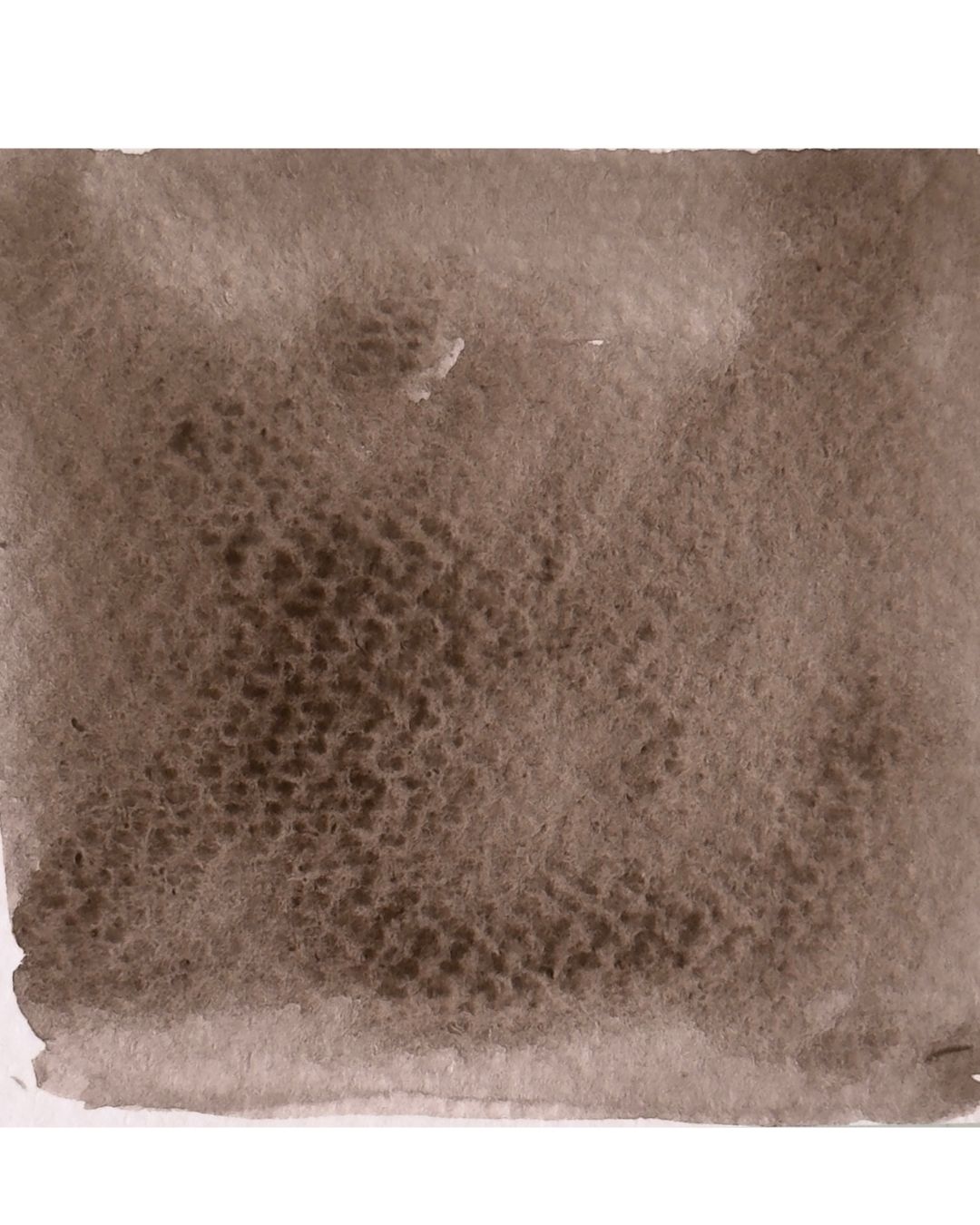 Aquarelle artisanale - Brun de Cassel