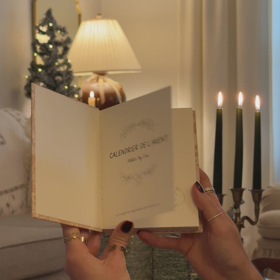 Vidéo de présentation des illustrations 