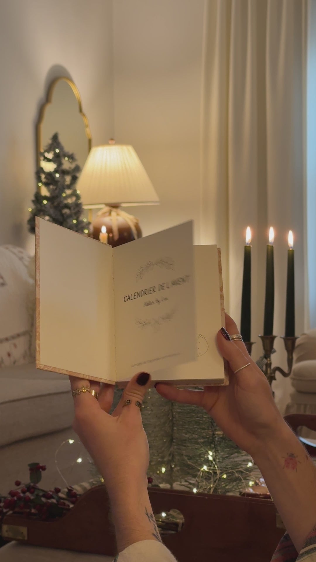 Vidéo de présentation des illustrations 